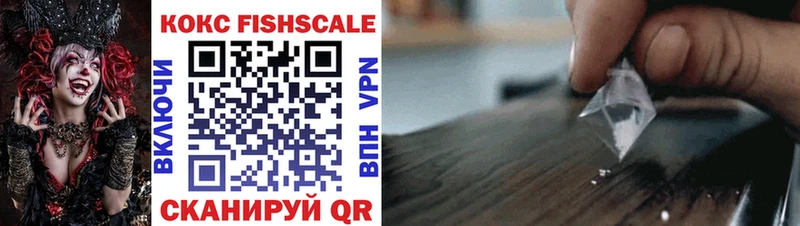 shop состав Заводоуковск COCAIN Fish Scale