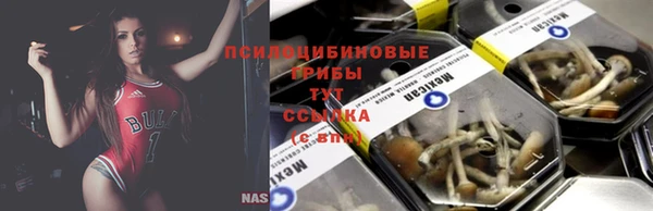 ешки Верхний Тагил