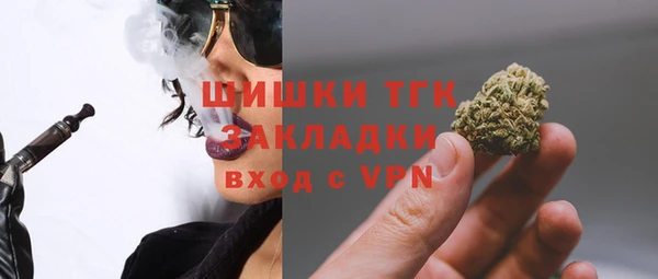 ешки Верхний Тагил