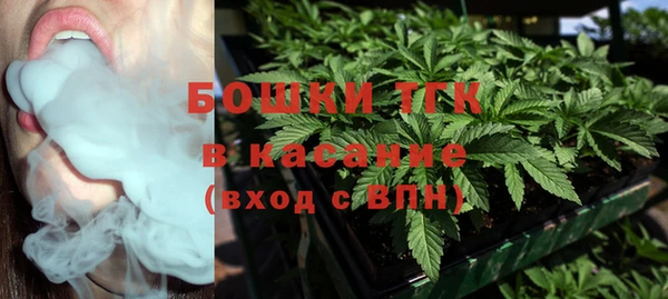 ешки Верхний Тагил