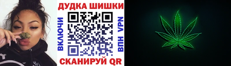 OMG tor  Заводоуковск  Марихуана сатива 